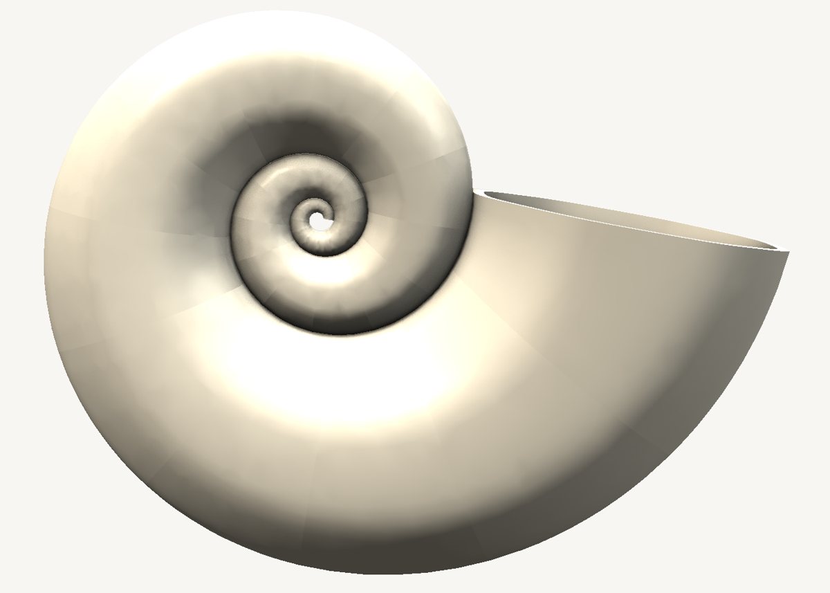 Nautilus shell modelled in SweeperCAD, view 1